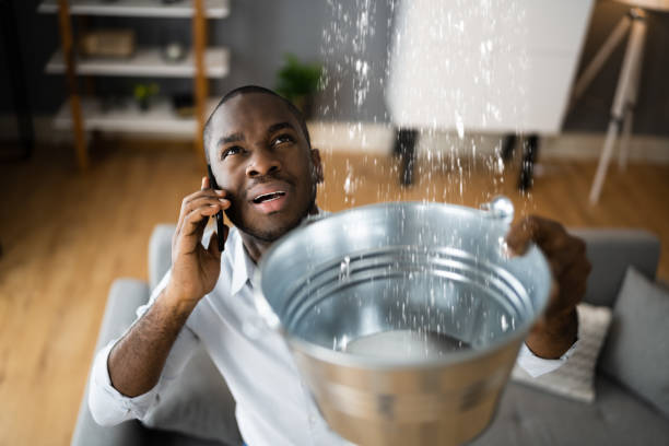 Best Basement water damage restoration  in Galeville, NY