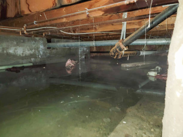 Best Emergency water damage restoration  in Galeville, NY