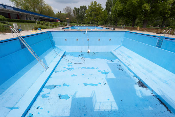 Best Water damage cleanup near me  in Galeville, NY