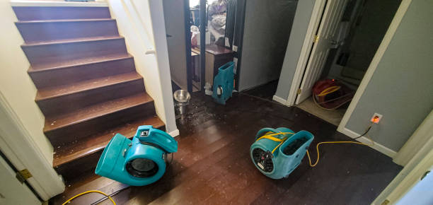 Best Water damage restoration near me  in Galeville, NY