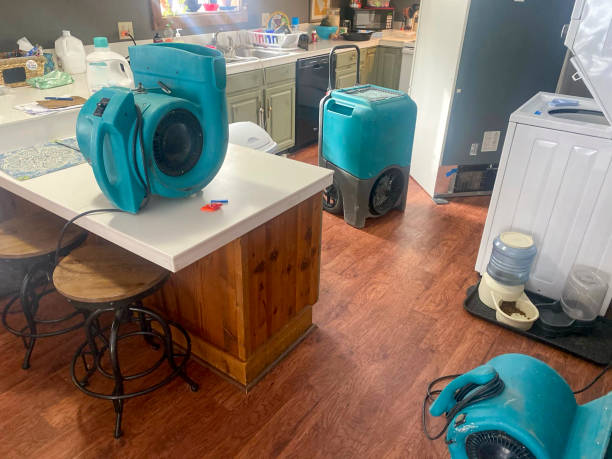 Best Ceiling water damage repair  in Galeville, NY