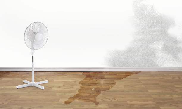 Best Flood restoration services  in Galeville, NY