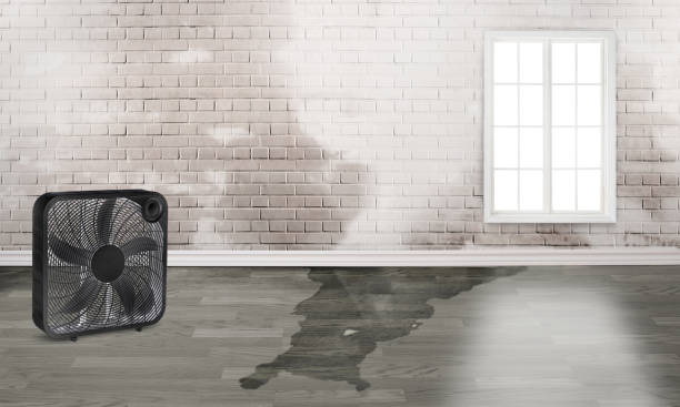 Best Sewage cleanup and water damage restoration  in Galeville, NY