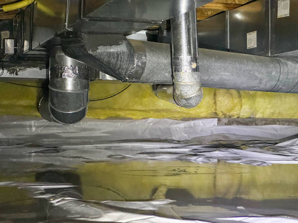 Best Water damage restoration near me  in Galeville, NY