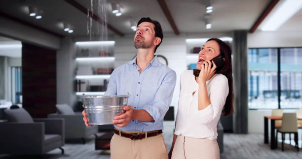 Best Basement water damage restoration  in Galeville, NY